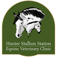 Hunter Stallion Station
